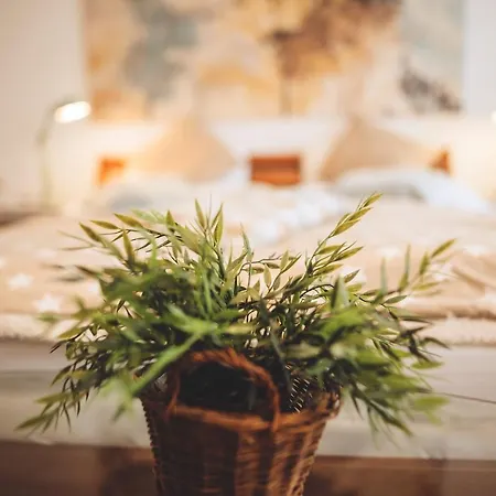 Hotel Stern, Kg - Digital & Contactless Check-in